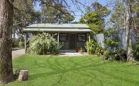 Blue Apple Lodge